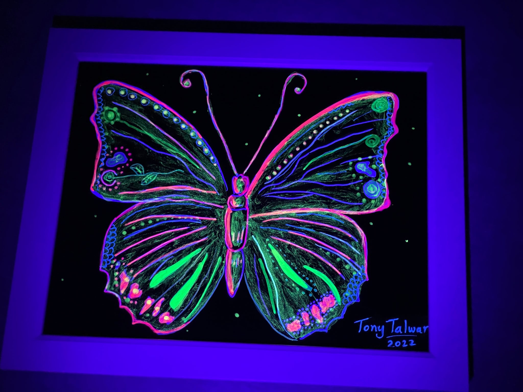 Butterfly Glow Art, Glow in the dark art, Butterfly Art | FREE SHIPPING